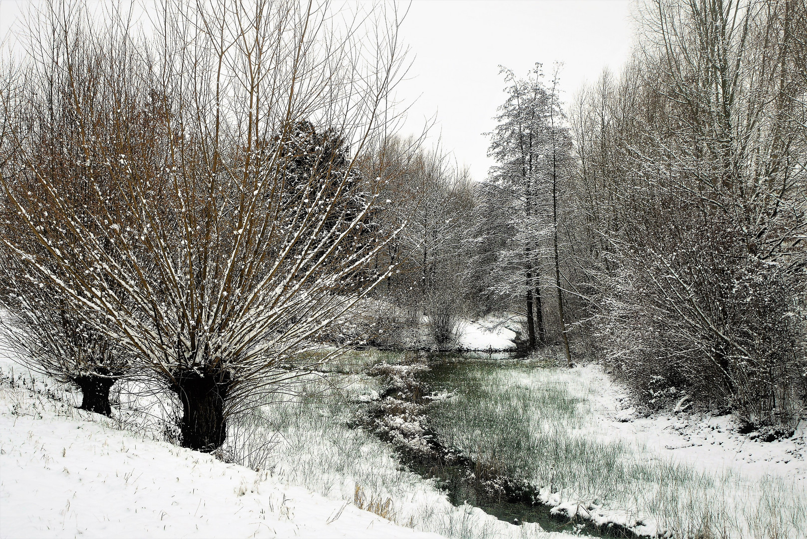 bunte Schneelandschaft 