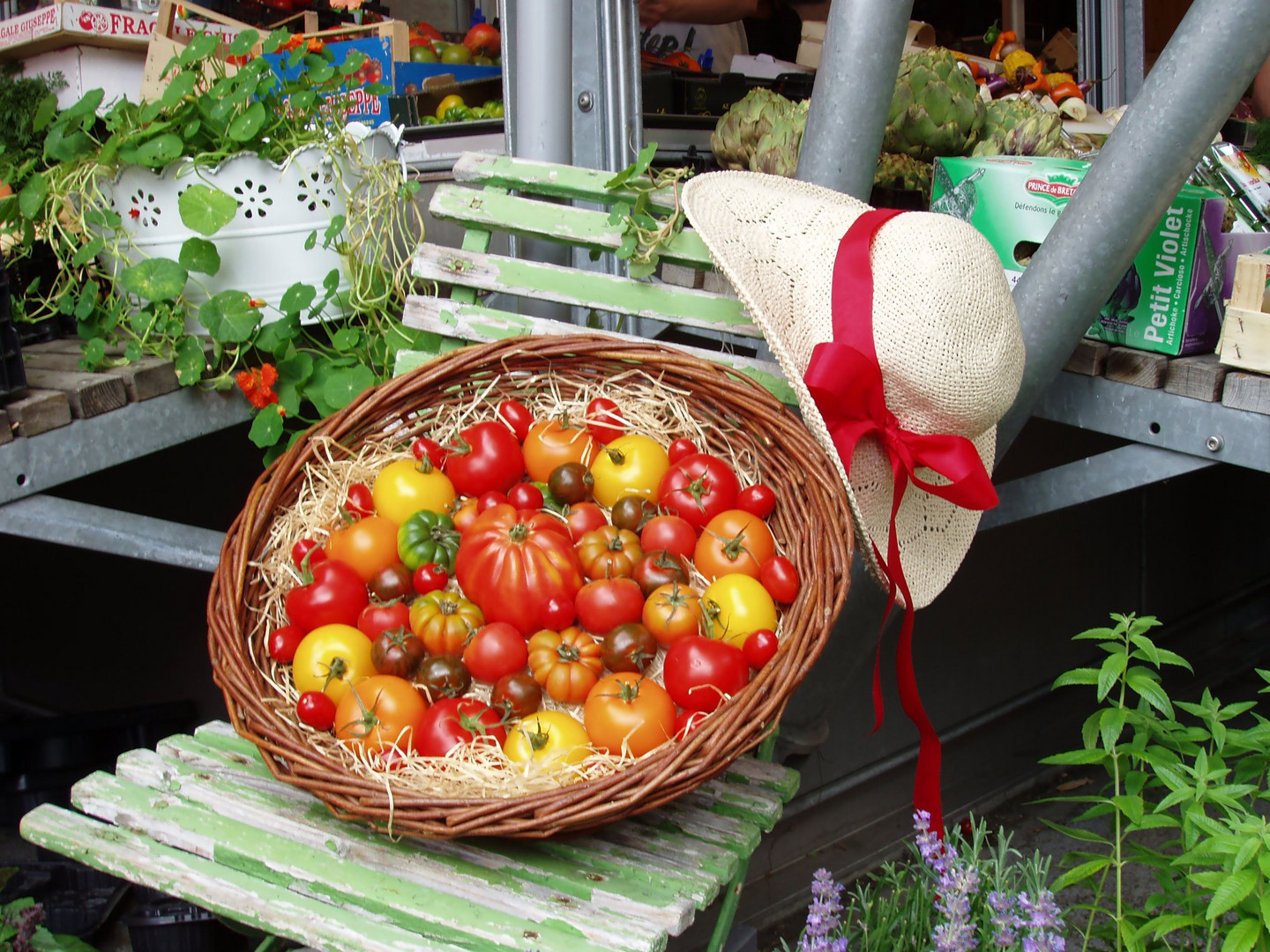 bunte Sommertomate