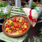 bunte Sommertomate