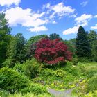 Bunte Sommerzeit im alten Botanischen Garten in Göttingen