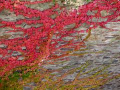 Bunte Steinmauer