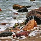 Bunte Steinvielfalt am Strand der Ostsee