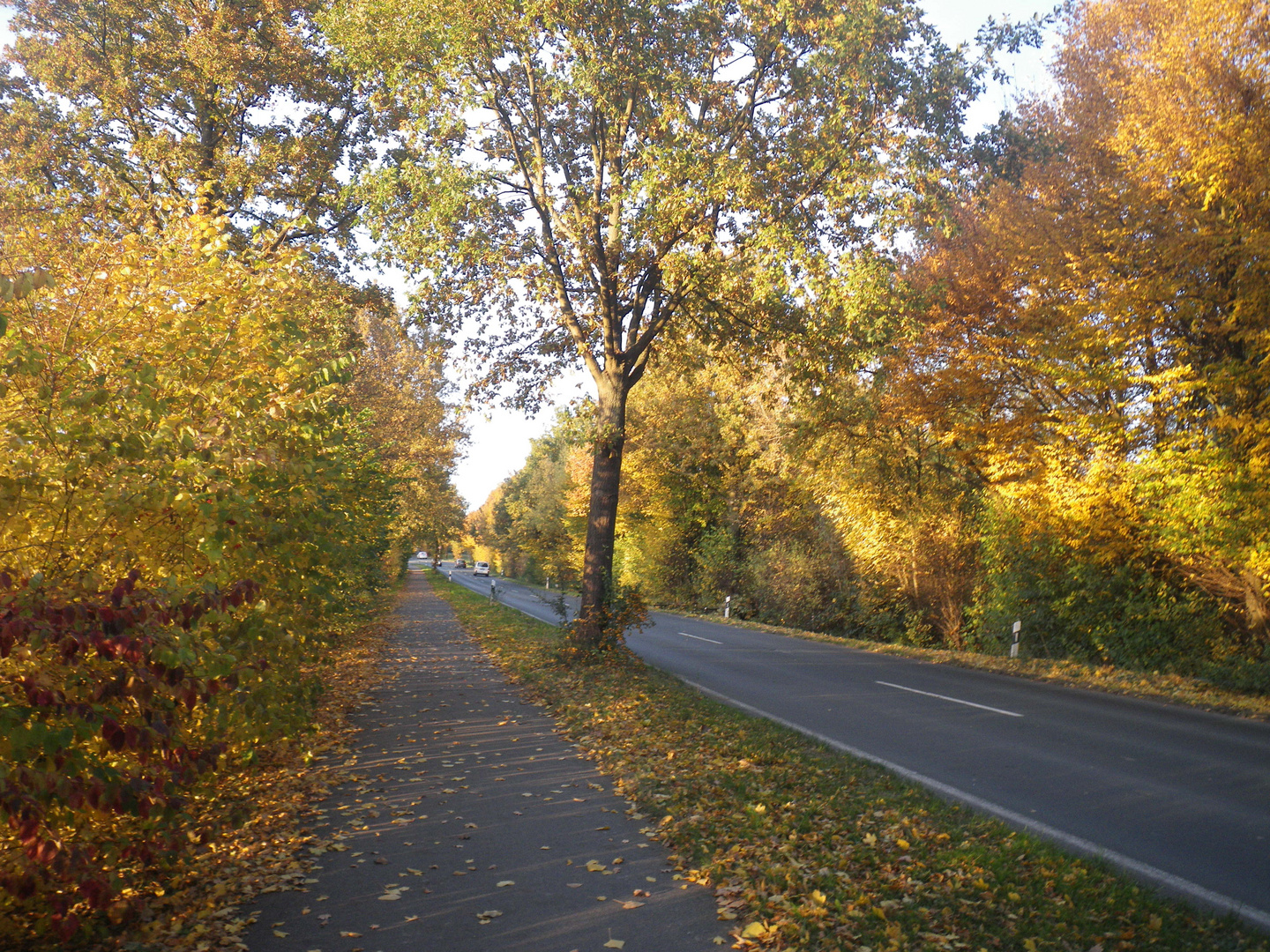 bunte strasse