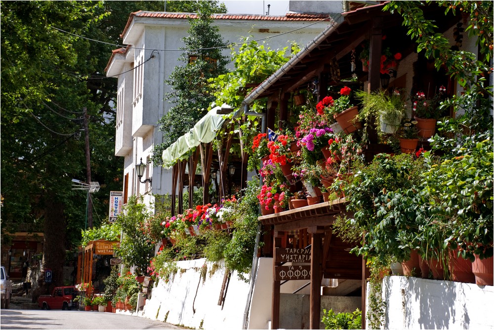 Bunte Taverne ...