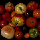 Bunte Tomaten Vielfalt