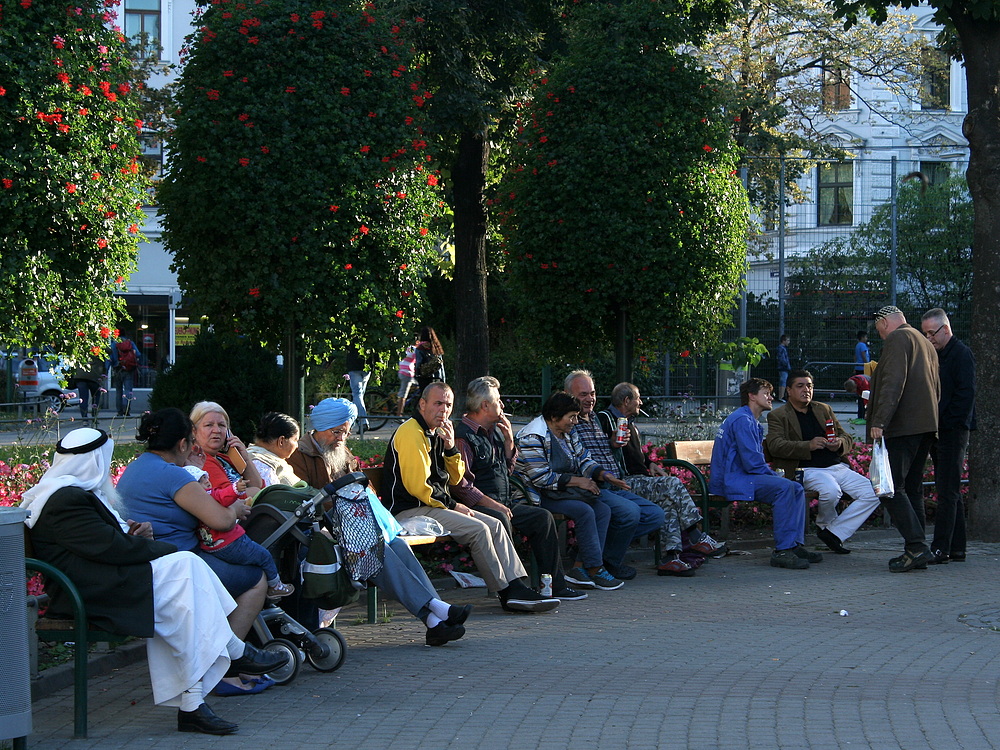 Bunte Truppe (2)