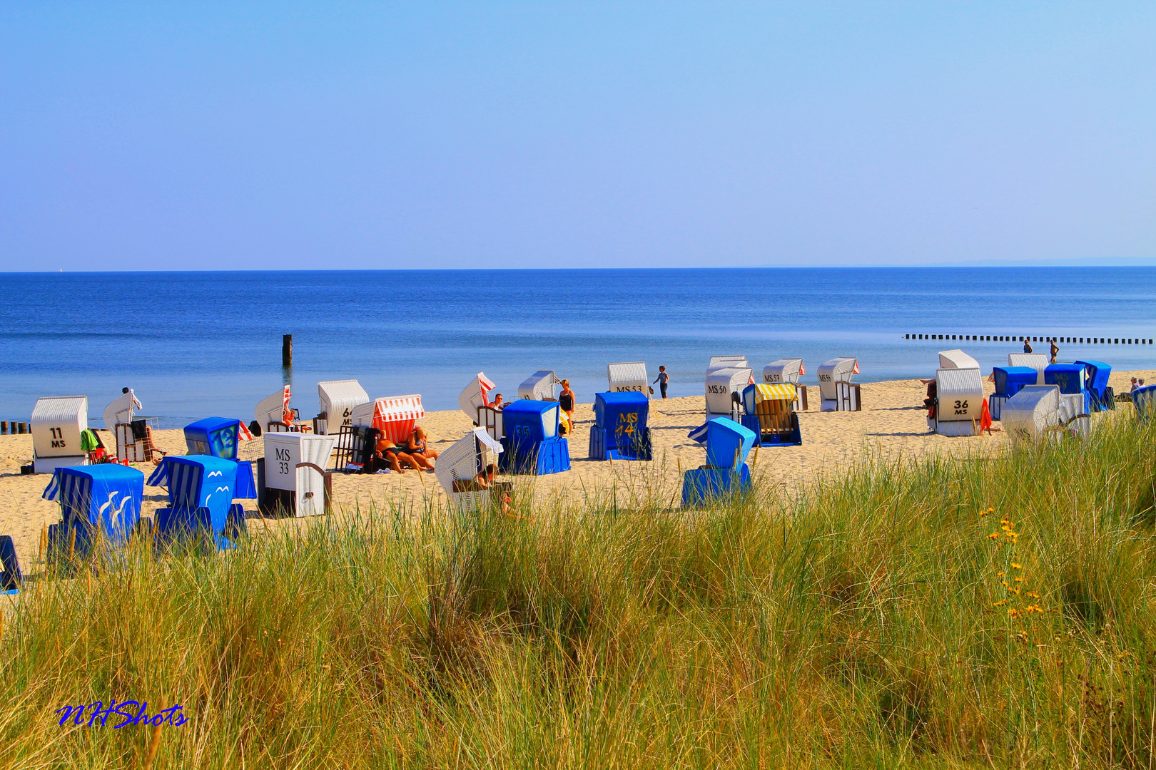 Bunte Tupfen am Strand!