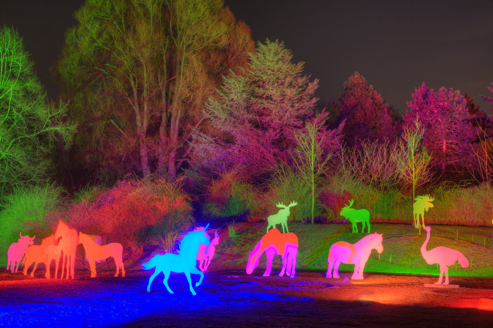 Bunte Viecher und ein blaues Einhorn