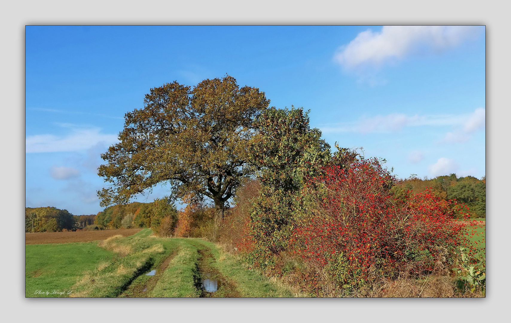 Bunte Vielfalt der Natur