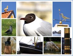 Bunte Vielfalt - Husum, die Stadt an der Nordsee