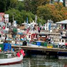 Bunte Vielfalt im Hafen