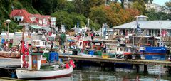 Bunte Vielfalt im Hafen