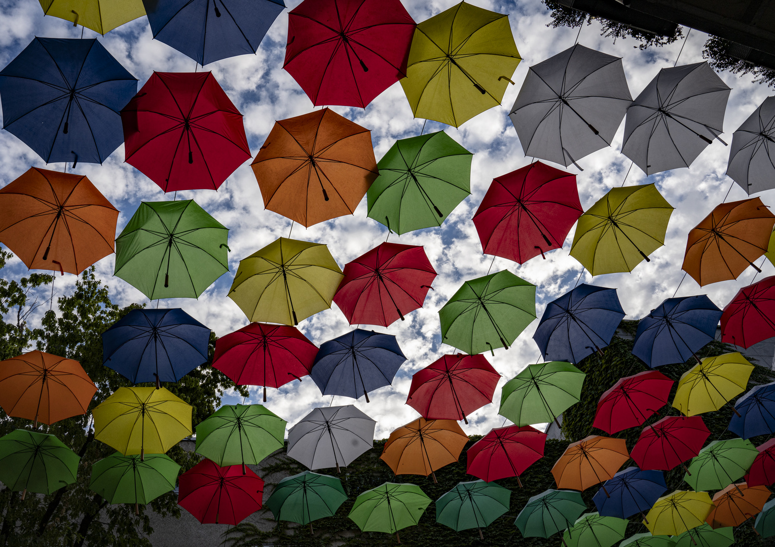 Bunte Vielfalt in Mainz 1