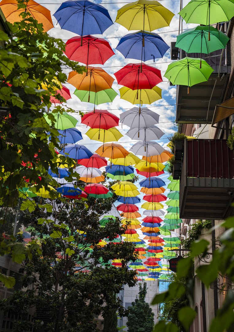 Bunte Vielfalt in Mainz 2