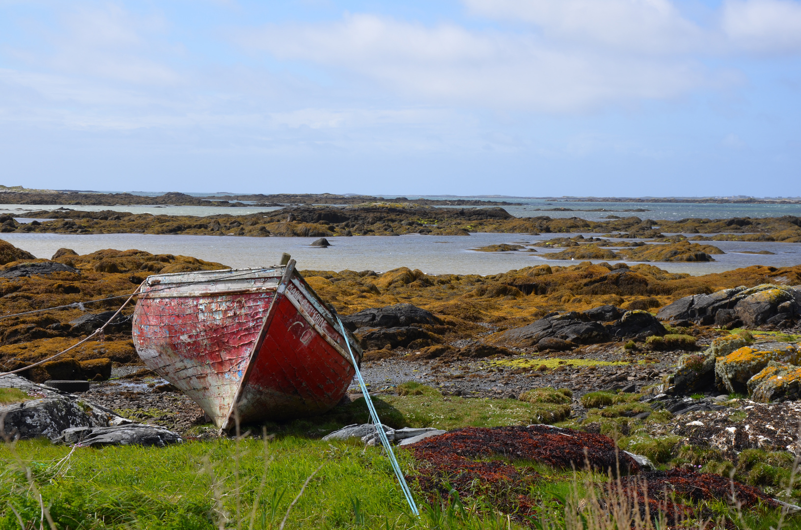 Bunte Vielfalt Irland