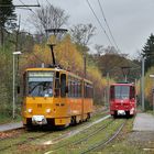 bunte Waldbahn