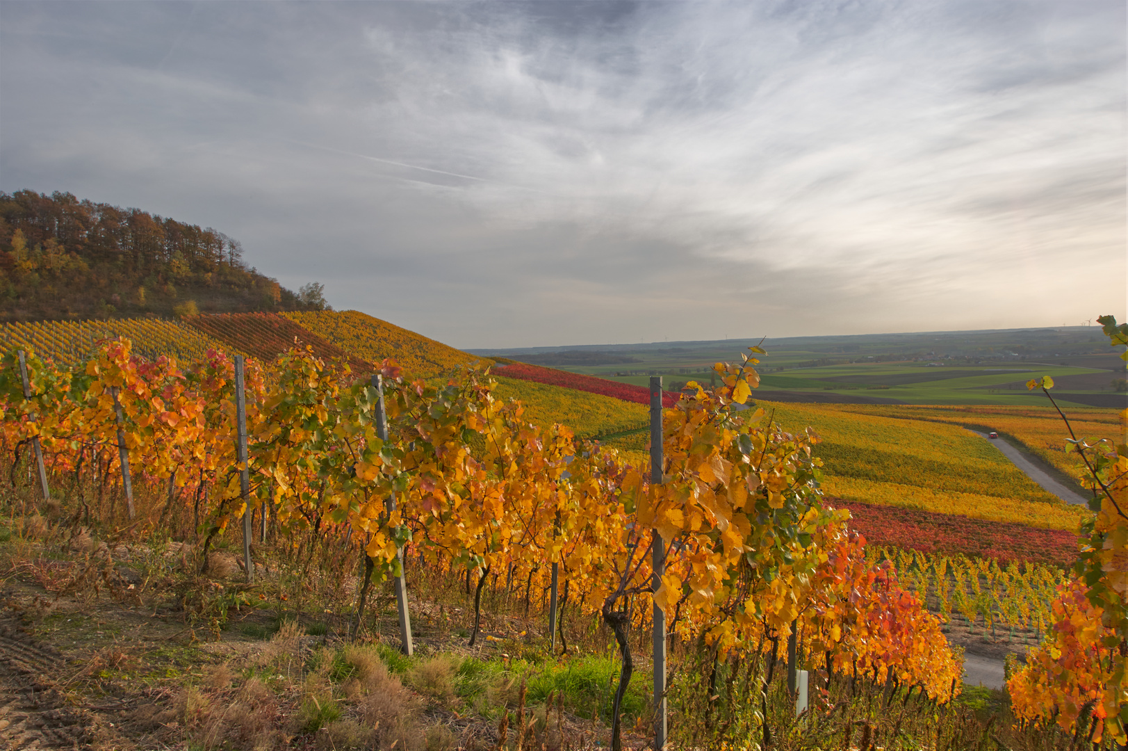 Bunte Weinberge