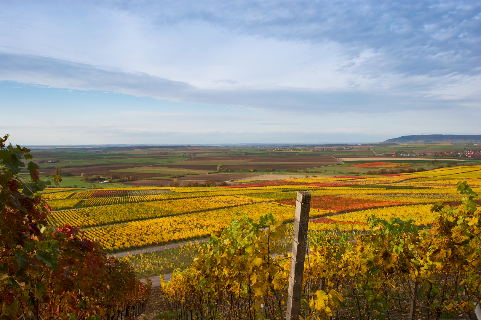 Bunte Weinberge