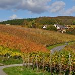 ... bunte Weinberge im Ahrtal