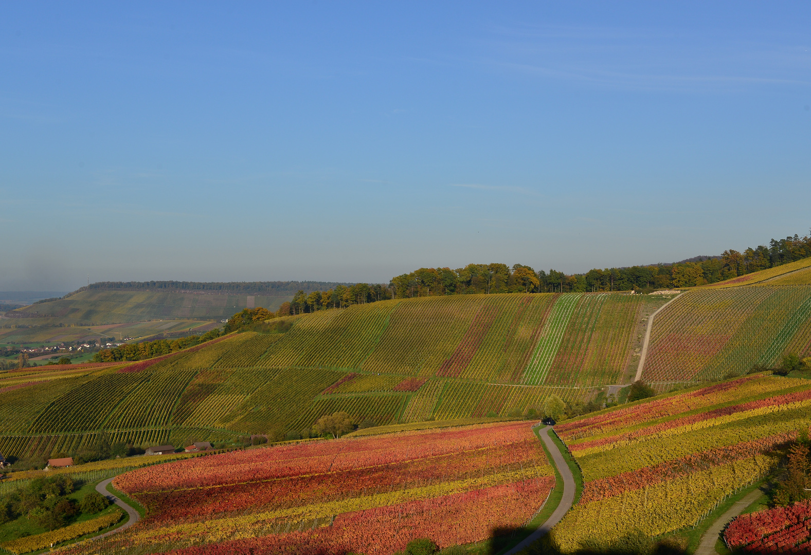 bunte Weinberge im Herbst