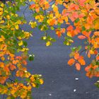 Bunte Welt vor dem Fenster - jetzt leider schon vergangen