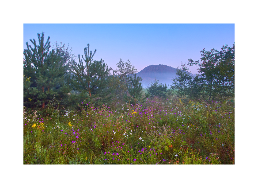 Bunte Wiese mit Mittelgebirgsberg