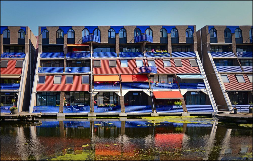 bunte Wohnblocks in Rotterdam