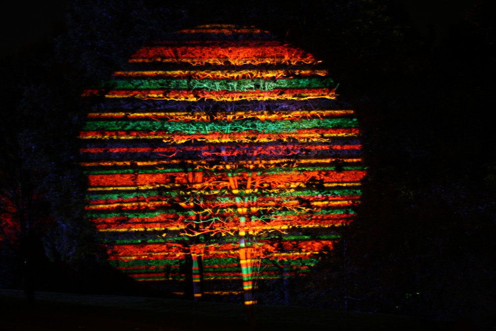 Bunter Baum im Herbst