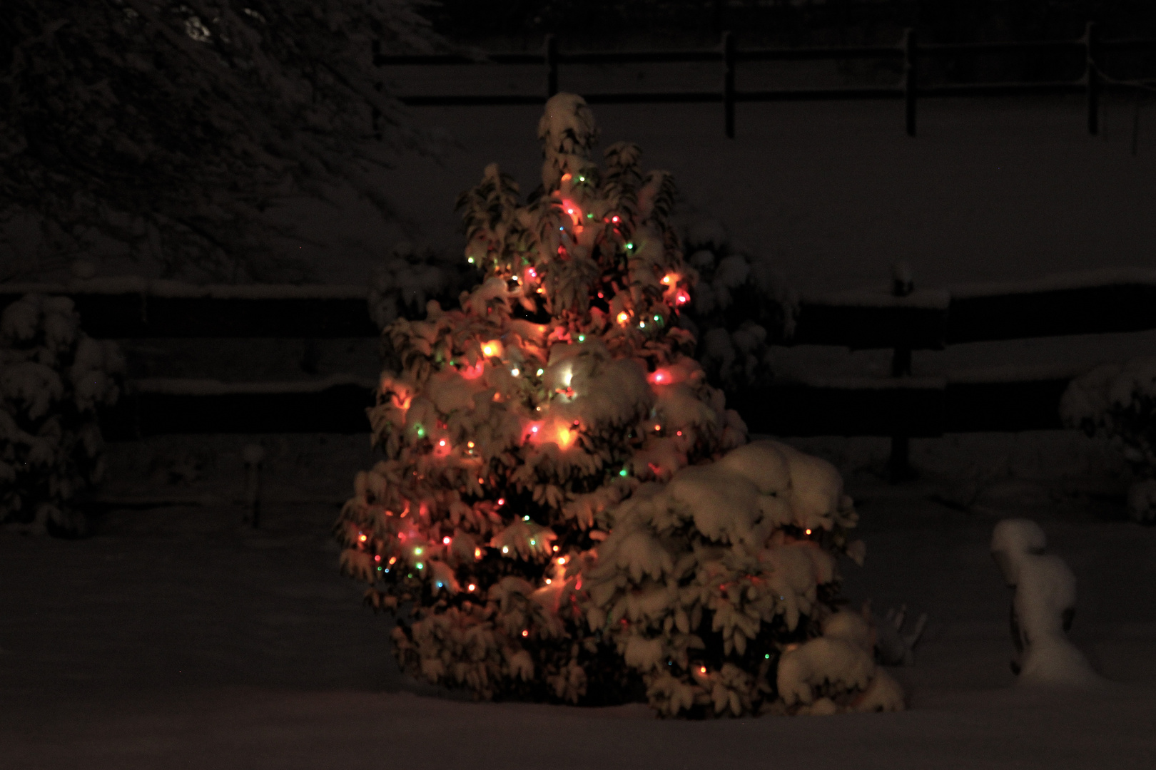 Bunter Baum im hohen Schnee