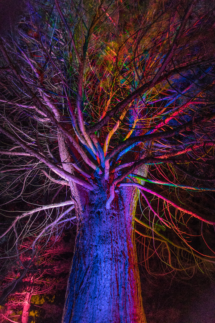 Bunter Baum (Parkleuchten Grugapark)