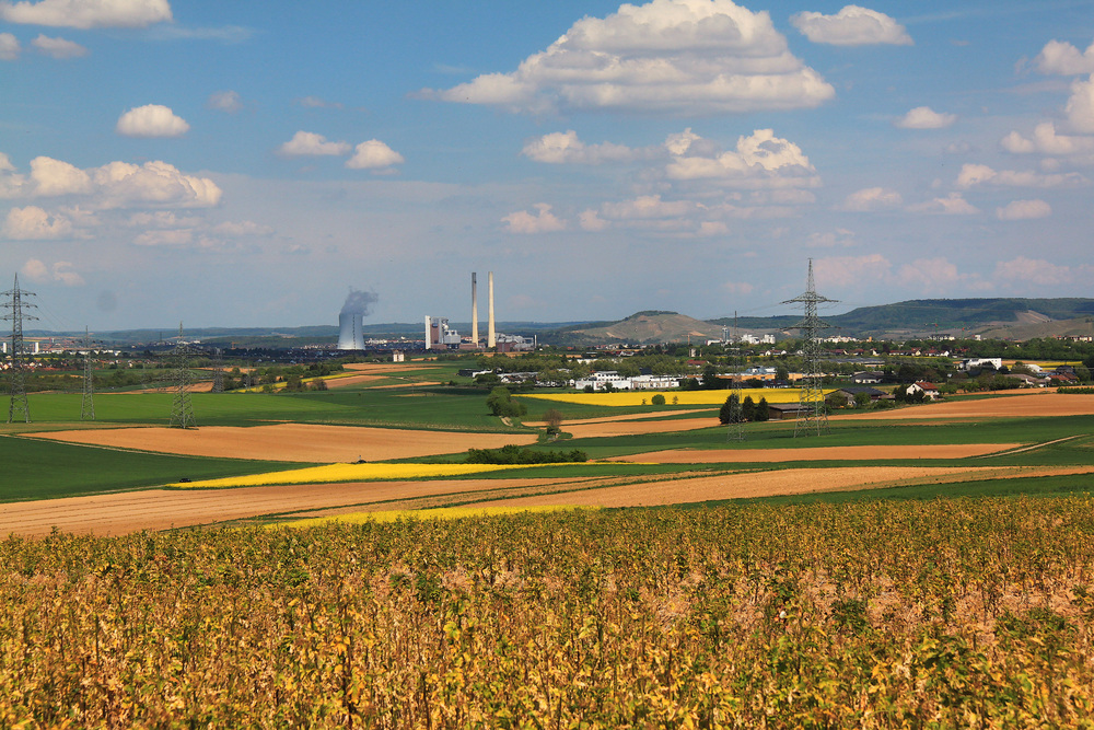 Bunter Fleckenteppich