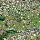 Bunter Friedhof von Victoria (Seychellen)