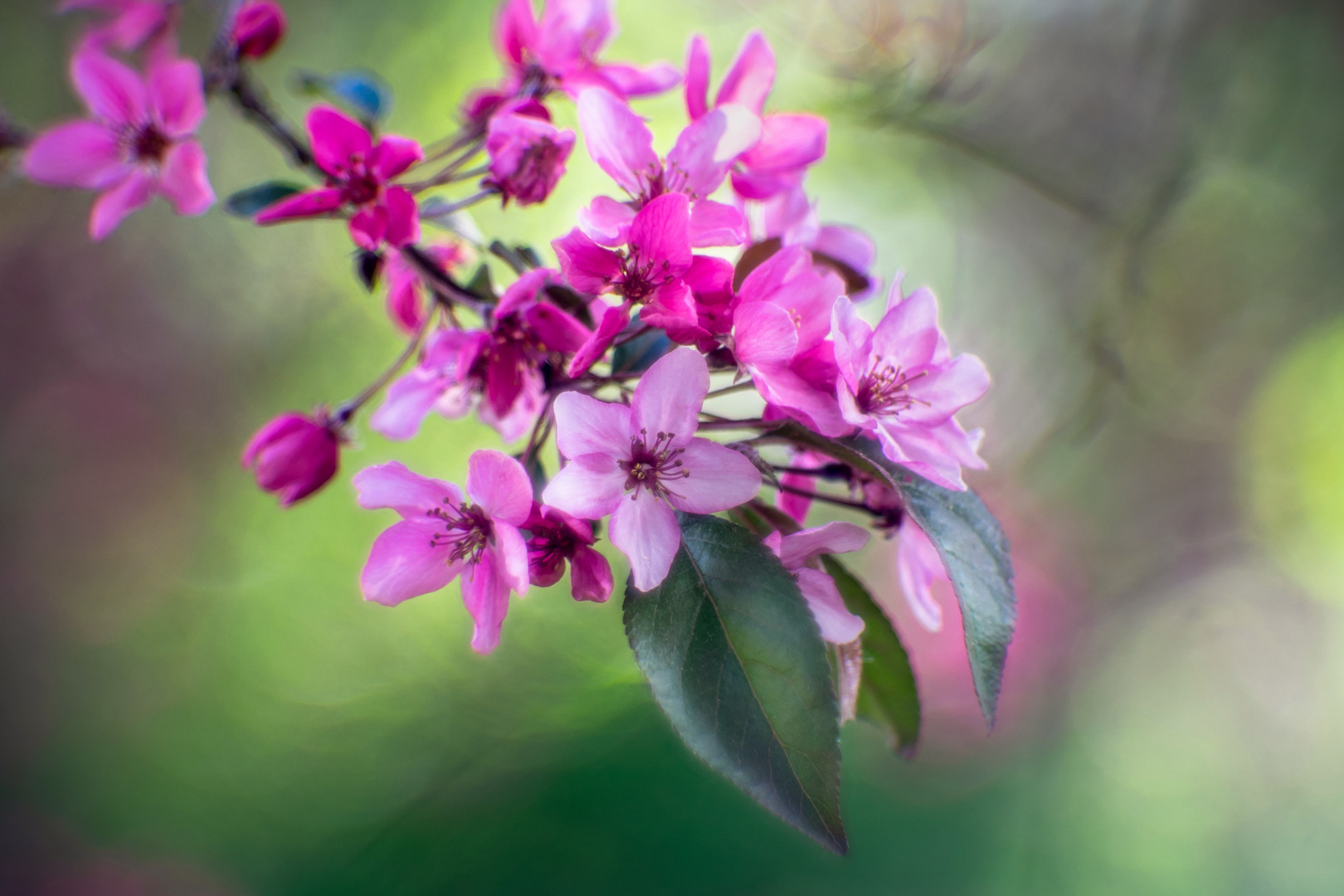 Bunter Frühling