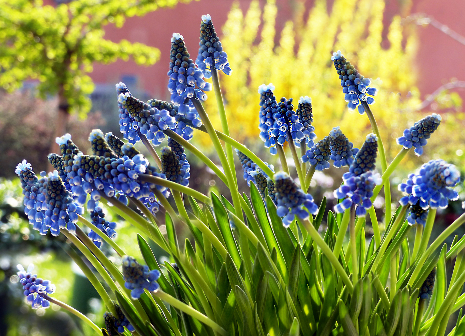 Bunter Frühling