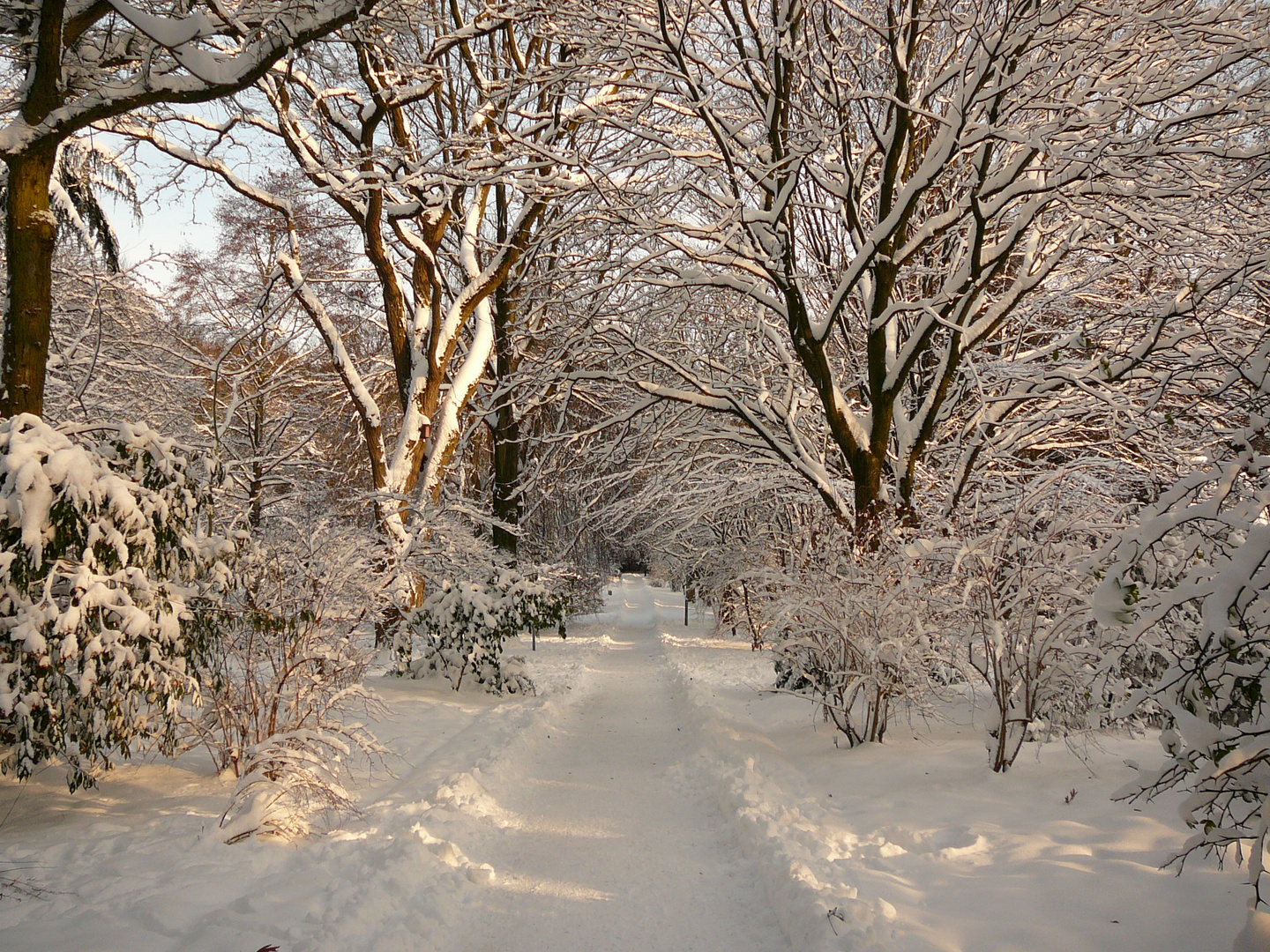 Bunter Garten in Mönchengladbach Foto &amp; Bild