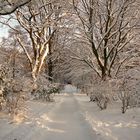 Bunter Garten in Mönchengladbach