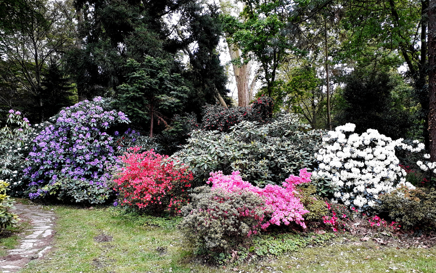 Bunter Garten in Mönchengladbach