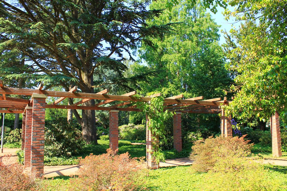 Bunter Garten Mönchengladbach Foto & Bild pflanzen, pilze & flechten