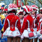 Bunter Gockel als "Hahn im Korb"