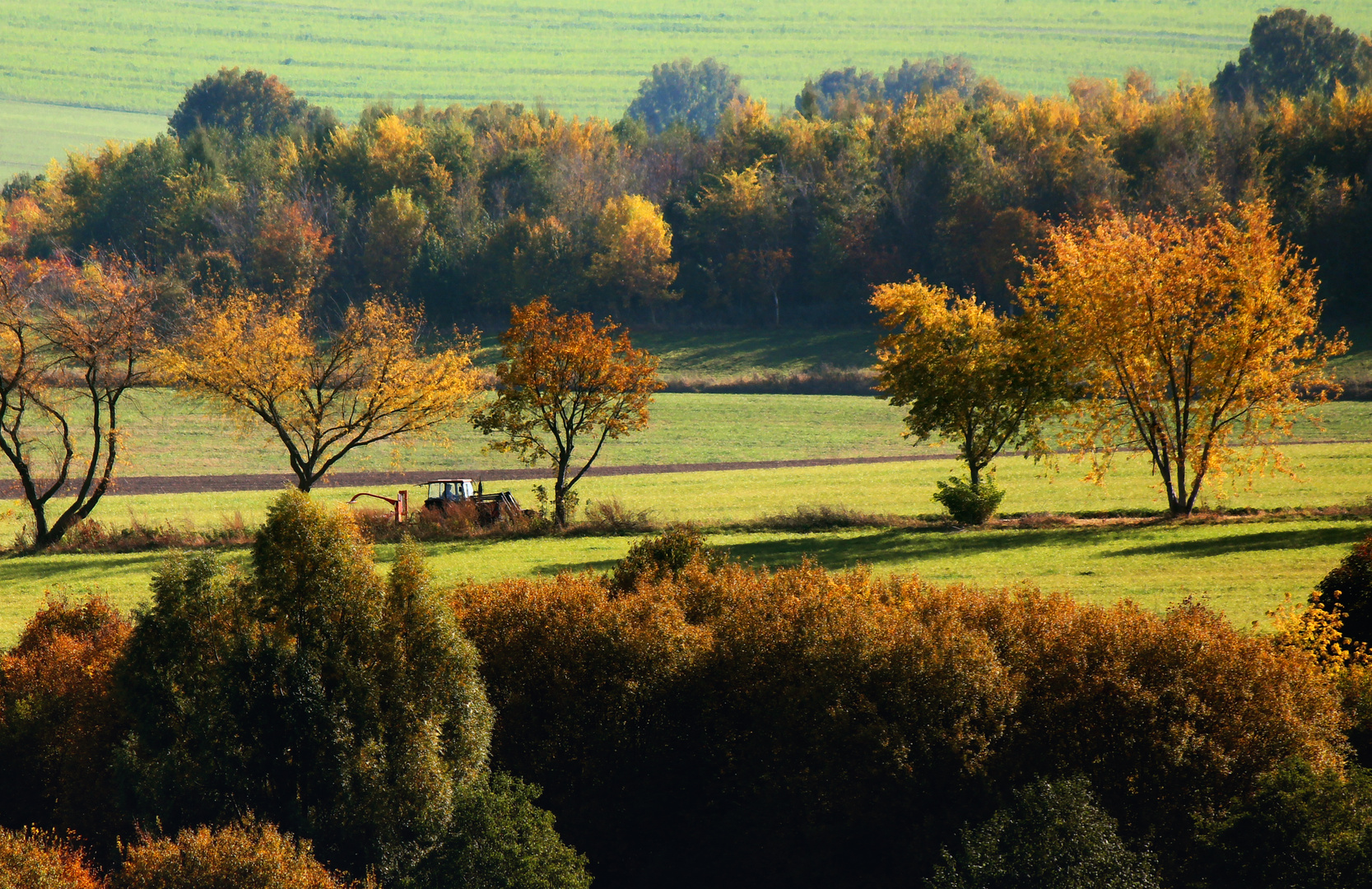 Bunter Herbst