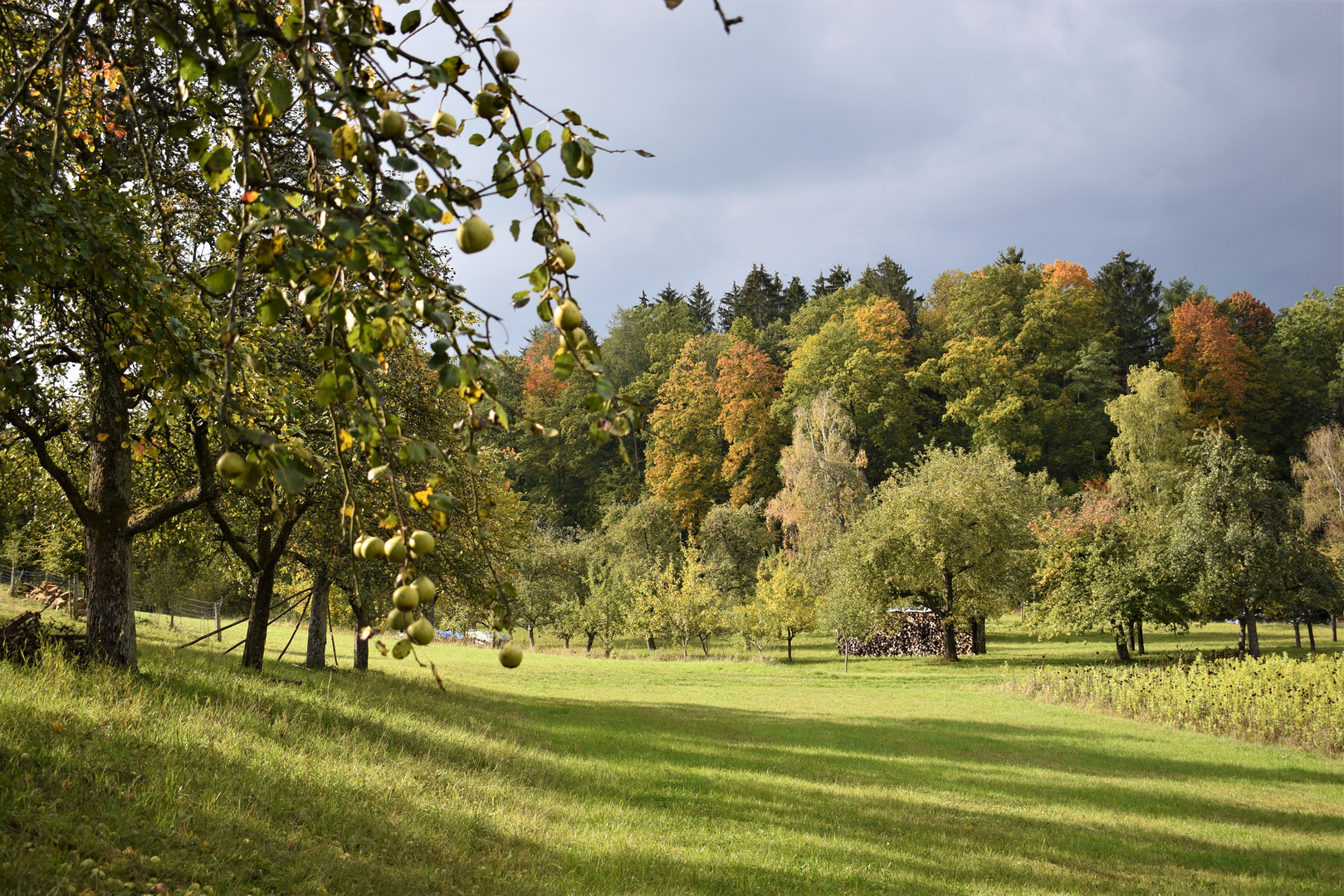 Bunter Herbst