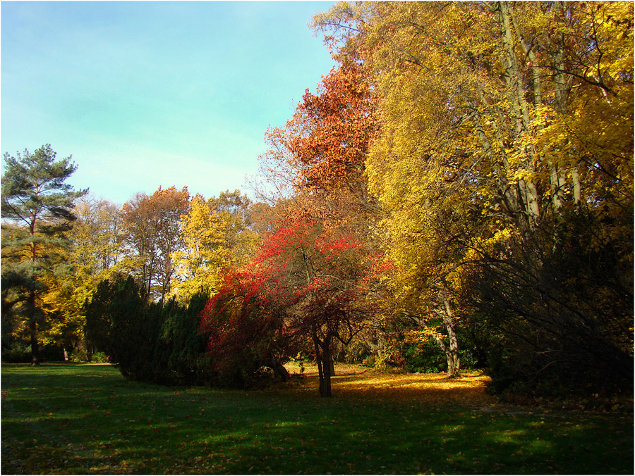 Bunter Herbst 1