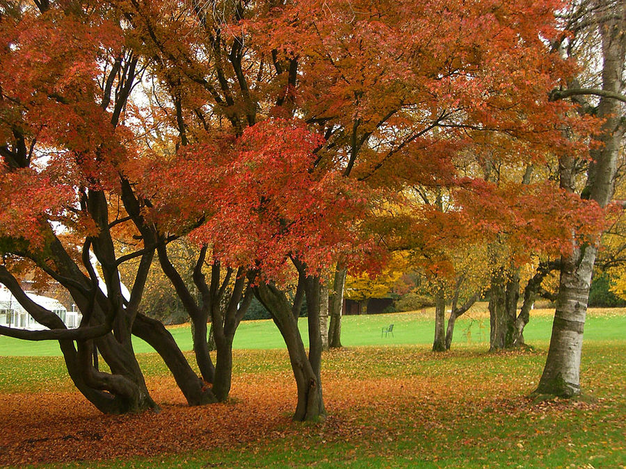 Bunter Herbst