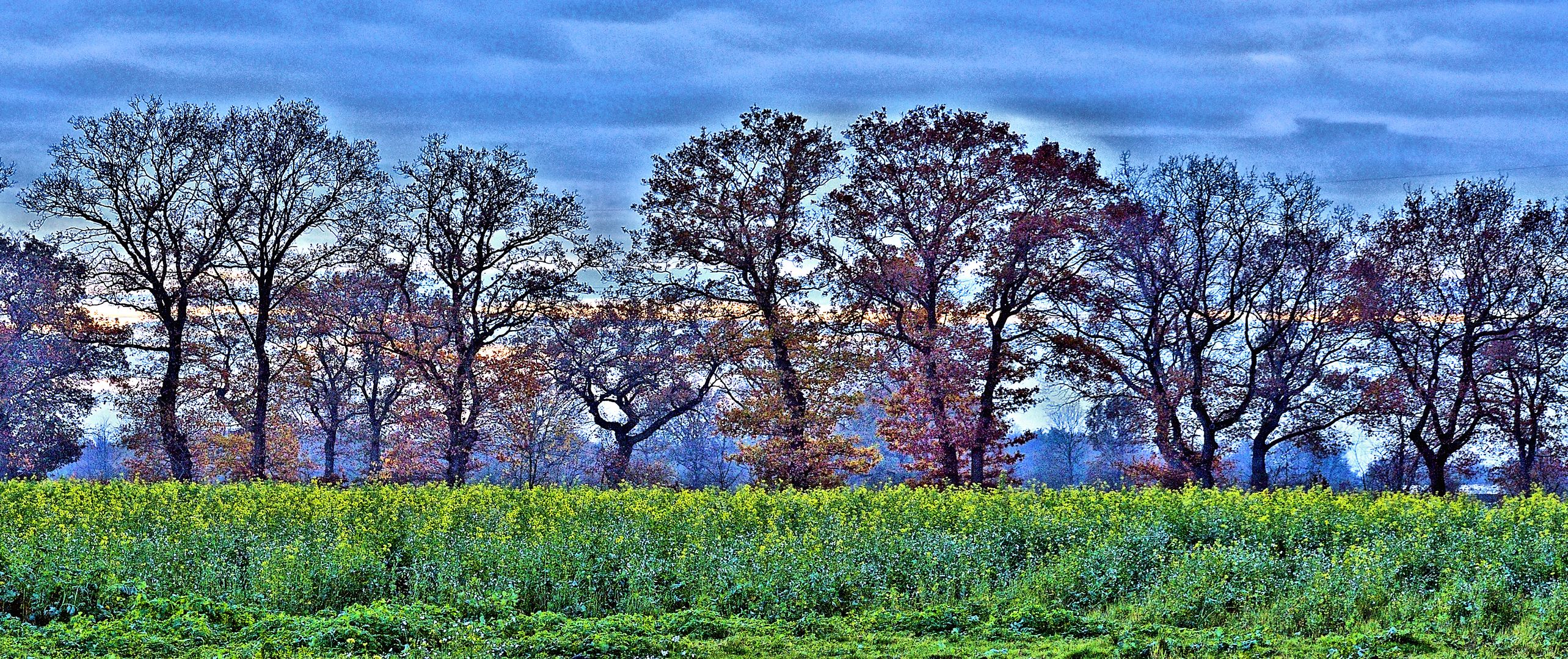 Bunter Herbst