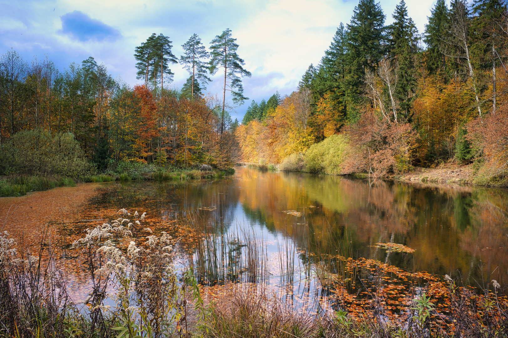 Bunter Herbst