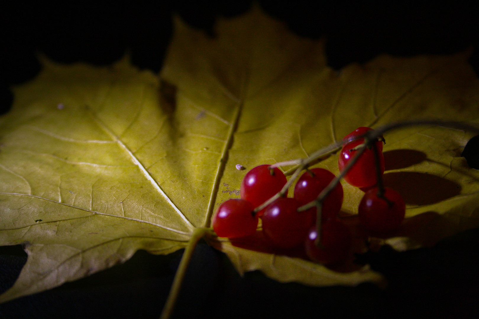 bunter Herbst 2