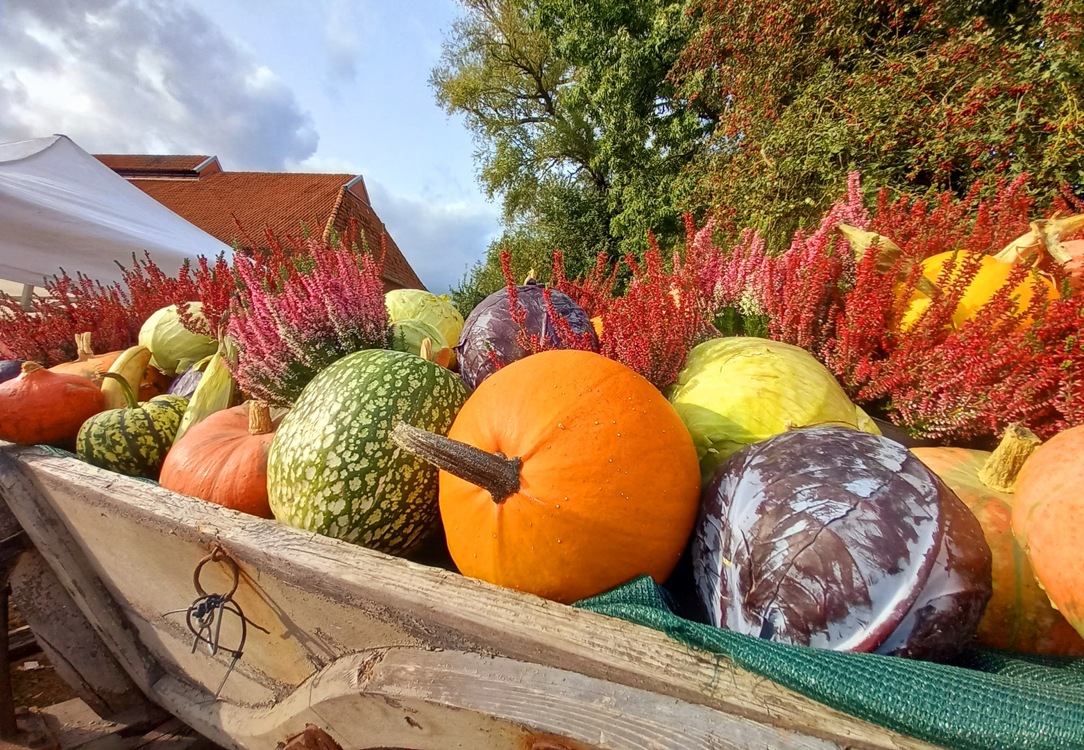 bunter Herbst