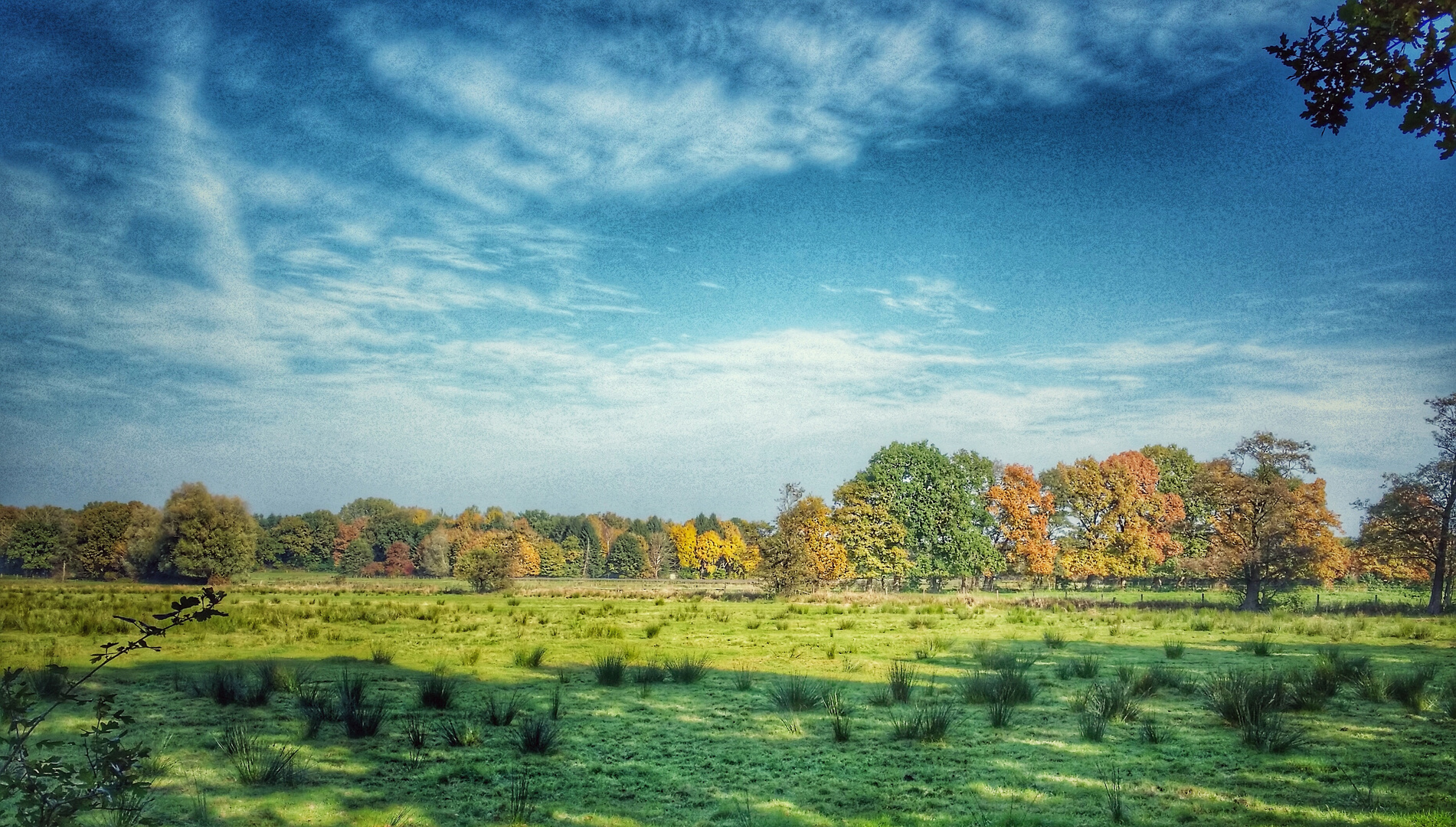 bunter Herbst