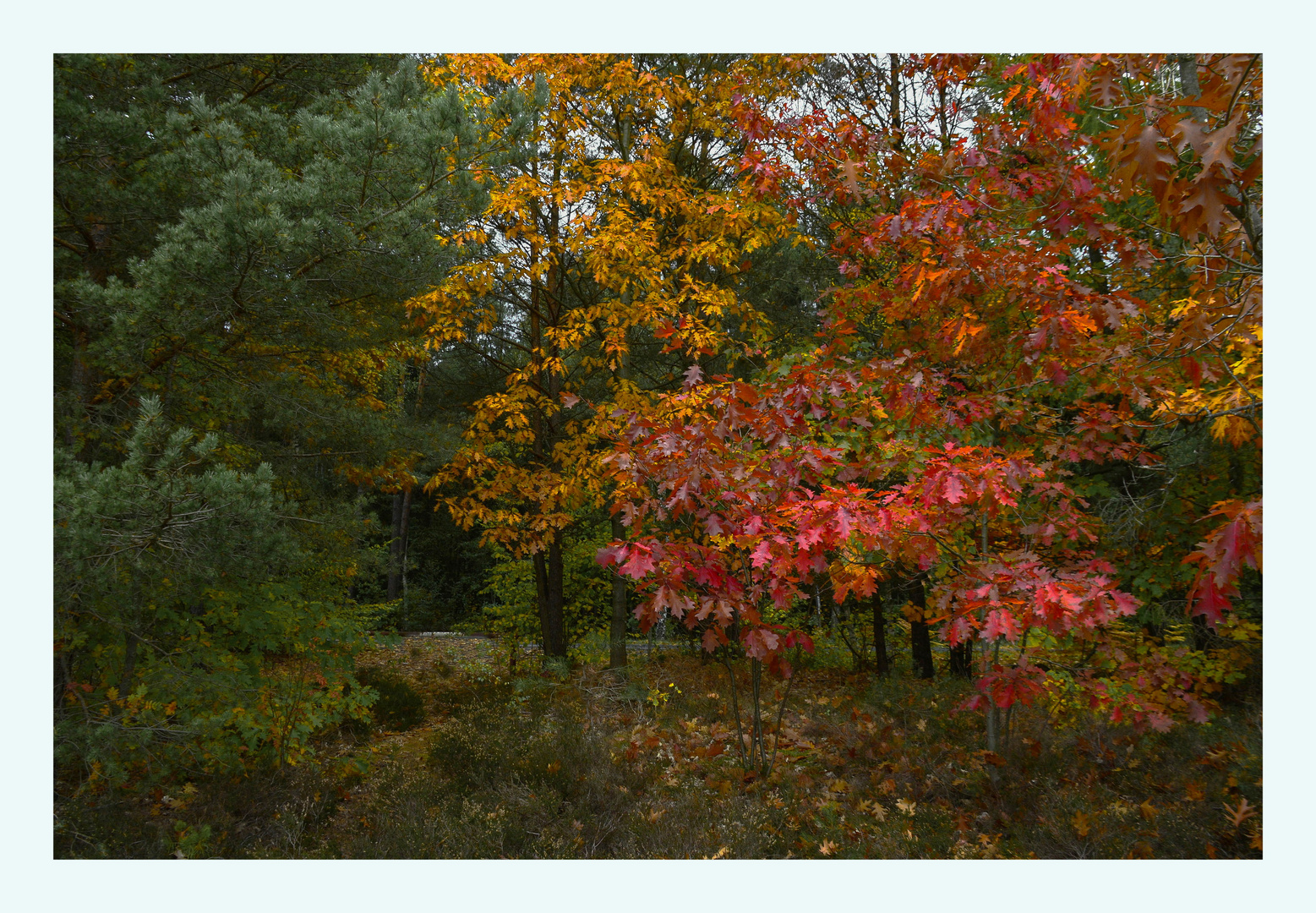 °Bunter Herbst°