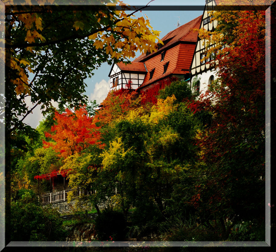 Bunter Herbst